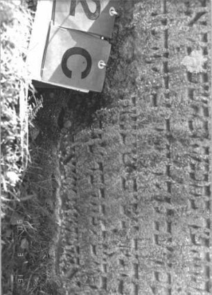 Grabstein 42 (Index: 100009537) Zustand: unten zum Teil abgebröckelt, eingesunken Maße HxBxT: 85x64x9 cm: Grabstein 42C