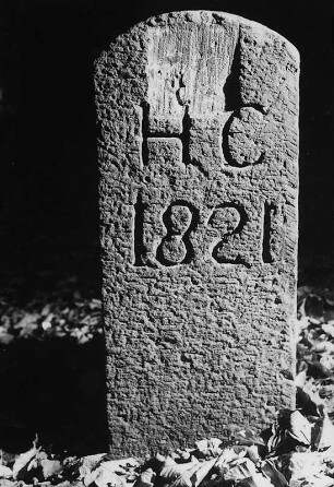 Grenzstein; Bad Sooden-Allendorf, Dörrbeerholz, Roggenberg, Hinterm Boden, Aufm Gemenge, Aufm Boden