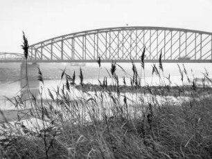 Rheinbrücke kurz vor der Mündung in den Bodensee