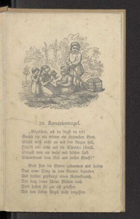 20. Kanarienvogel.
