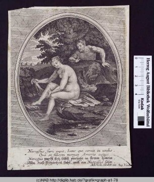Narcissus fieri cupit, hanc qui cernit in undis, Quo se felicem mergat Amoris aquis. Narcissus sturzt sich selbst verliebt in Strom hinein, Wer diese Schönheit sieht, will ein Narcissus seijn.