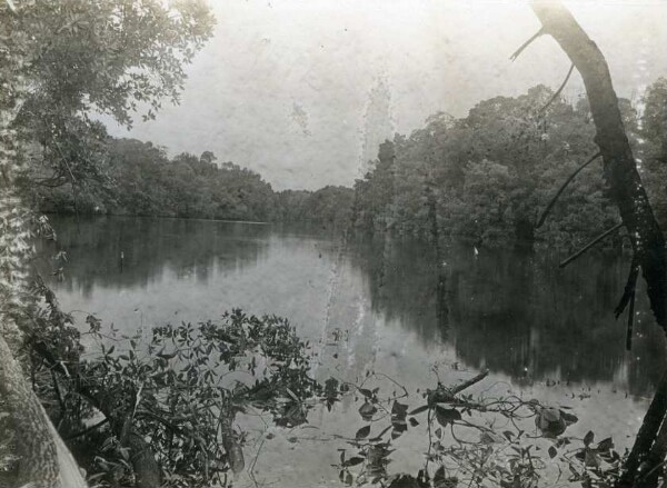 "Imuto-Karau in den Mangrove-Lagunen"