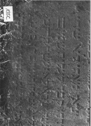 Grabstein 135 (Index: 99786144) Zustand: leicht verwittert, leicht eingesunken Maße HxBxT: 70x40x11 cm Besonderheit: kulturhistorisch wertvoll / künstl.-formale Gründe (Inschrift): Grabstein 135C