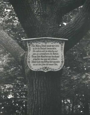 Waldheim. Inschrifttafel an einer Eiche auf dem Wachberg