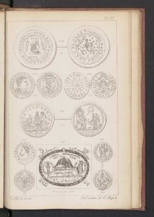 Tav. VIII