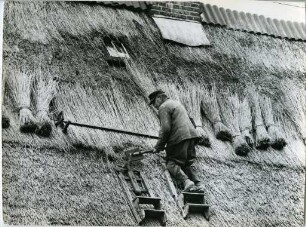 Dachdecker bei der Arbeit