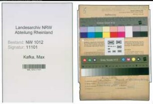 Entnazifizierung Max Kafka , geb. 08.10.1900 (Kaufmann)