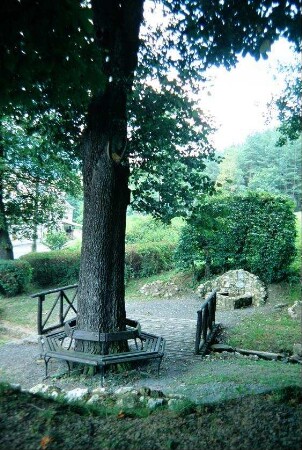 "Ilsequelle", Linde mit Bank, Quelle in Naturstein gefasst