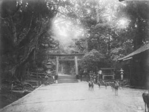 Zahme Rehe am Torii zum Kasuga-Schrein in Nara : Weltreisen. Zahme Rehe am Torii zum Kasuga-Taisha Schrein in Nara
