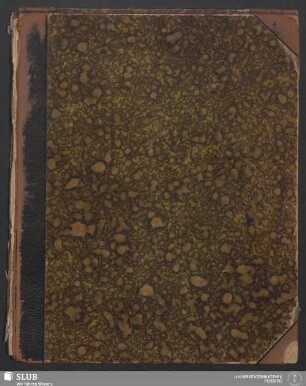 Lagerstättenlehre - XVII 617 8. : [Nachschrift einer Vorlesung von Alfred Stelzner]