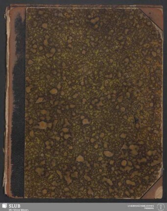 Lagerstättenlehre - XVII 617 8. : [Nachschrift einer Vorlesung von Alfred Stelzner]