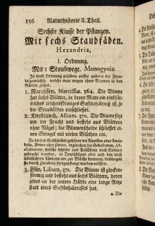 156-160, Mit sechs Staubfäden