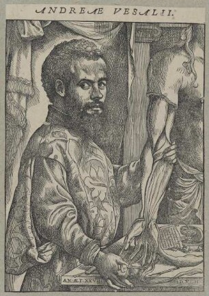 Bildnis des Andreas Vesalius