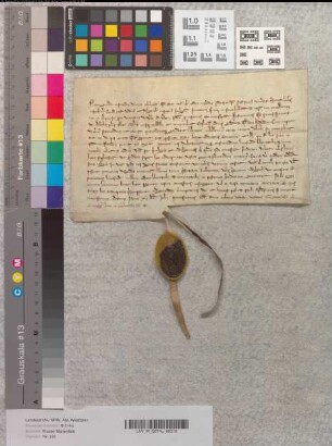 Transsumpt einer Bulle des Papstes Innocenz IV. vom 20. Juni 1251 für den Zisterzienserorden. "Cum nuper duxerimus statuendum".