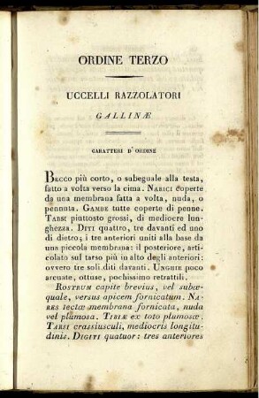 Ordine Terzo Uccelli Razzolatori Gallinæ