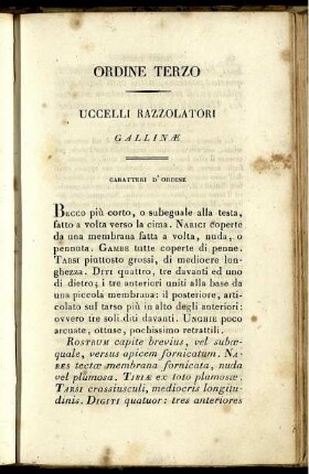 Ordine Terzo Uccelli Razzolatori Gallinæ