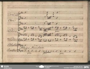 Einlage Aria (Franz Seydelmann): "Mi dica il mio Signore"