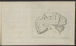 Tabula III. [IV.]
