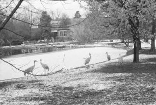 Winterstimmung im Stadtgarten