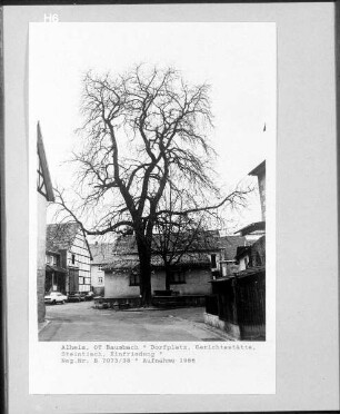Dorfplatz mit Gerichtsstätte, Steintisch und Einfriedung