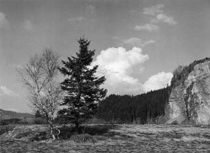 Wolkenbilder. Allgäu. Wolken über Felskuppe mit Nadelbaum