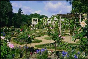 Potsdam, Park Sanssouci, Schloss Charlottenhof, Blick in Rosengarten mit Schinkel-Laube.