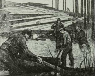 Holzfäller