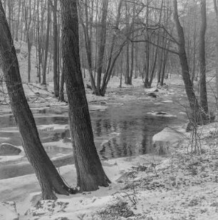 Bautzen Winterbilder : Bautzen. Flussarm. Winteraufnahme