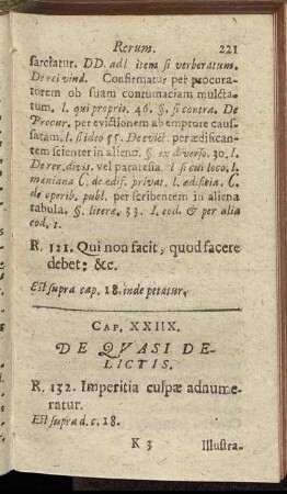 Cap. XXIIX. De Quasi Delictis.