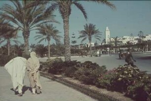 Reisefotos Libyen. Tripolis. Öffentlicher Park