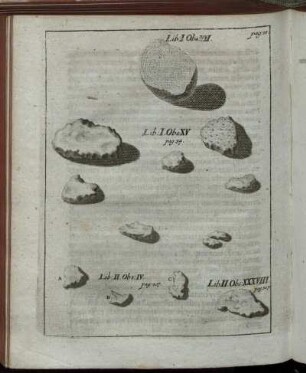 Illustrationen zu S. 15 (Lib. I Obs. VII), S. 34 (Lib. I Obs. XV), S. 207 (Lib. II Obs. IV) und S. 307 (Lib. II Obs. XXXVIII)
