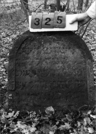 Grabstein 325