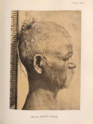 Irula man's head