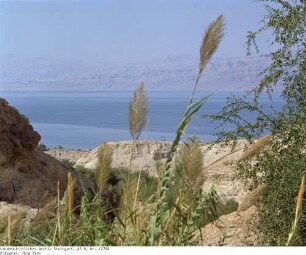 Israel: Ein Gedi