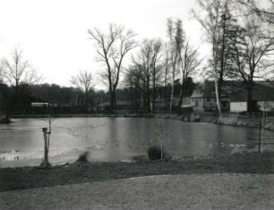 Moritzburg. Adams Teich hinter Adams Gasthof