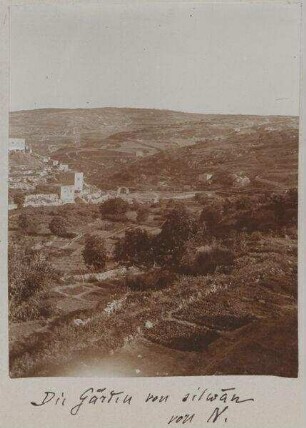 Die Gärten von silwan von N.