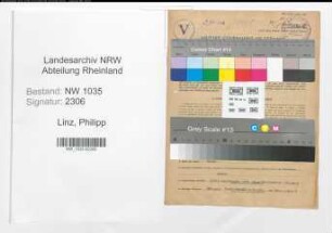 Entnazifizierung Philipp Linz , geb. 16.04.1900 (Direktor)