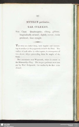 Mytilus pectinatus. Tab. CCLXXXII