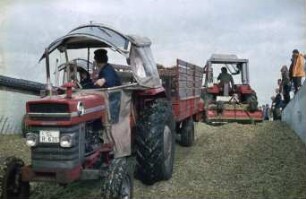 Fotografie: Ein- und Auslagerungstechnik, Maissilage, Flachsilo, Fahrsilo