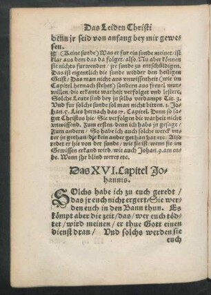 Das XVI. Capitel Johannis.