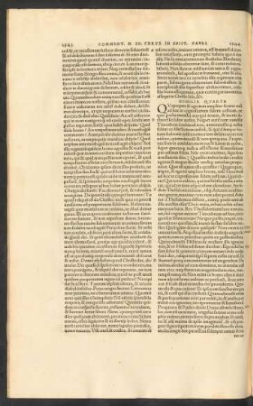 Homilia Quarta
