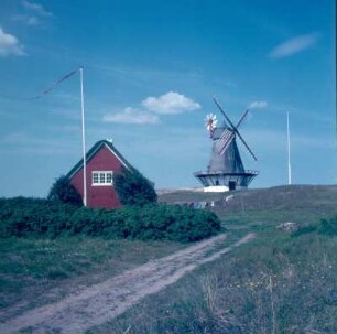 Dänemark. Nordseeinsel Fanø. Blick zur Windmühle von Sønderho