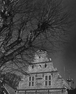 Archivfotografie "emsland_neuenhaus_24344"