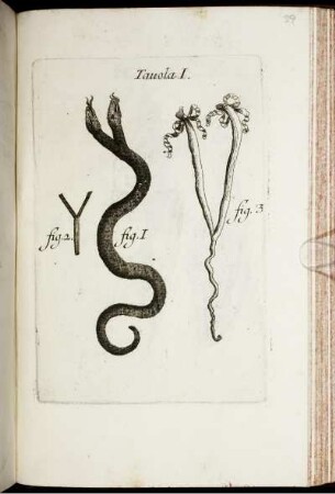 Tavola I. [bis] Tavola XXVI.