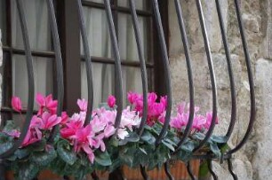 St.- Paul - Kleinstadt in den Seealpen : Hausdetail in St-Paul, Blumen am vergitterten Fenster, aufgenommen im April 2006