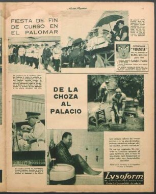 Fiesta de fin de curso en el Palomar [Fotografías]