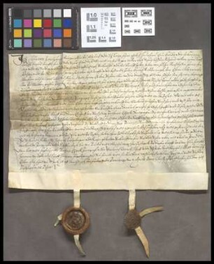 Butzbach: Kaufbrief über Güterstücke zu Butzbach