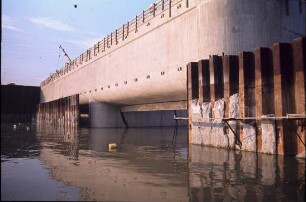 Kulturwehr Kehl, Rhein