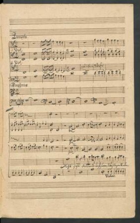 [Aria (Daphnis):] Seht, die Traube bricht hervor