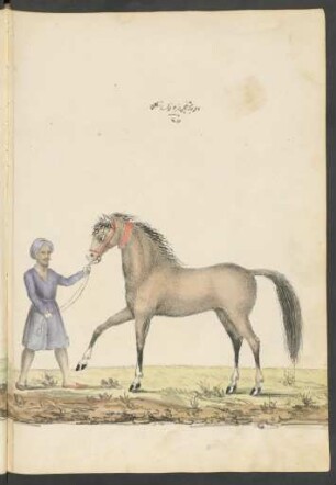 Illustration: f. 95v-96r